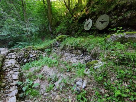 03-288650951_1077195902876509_5389549415691742173_n