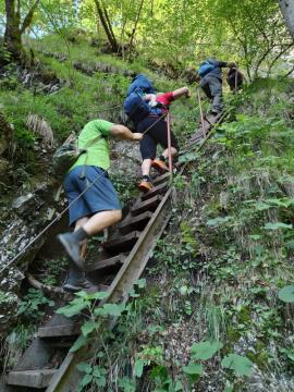 06-288854184_330183352598948_5044495258381454701_n