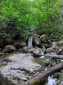 08-289320864_541424317688114_4304118002313111118_n