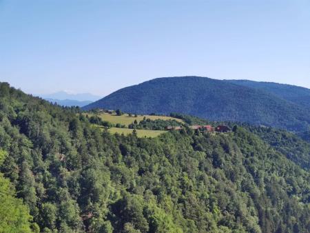 10-289309153_433676485003766_1130529189365933218_n