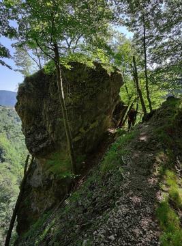 289087845_506358174540294_101517995597122417_n