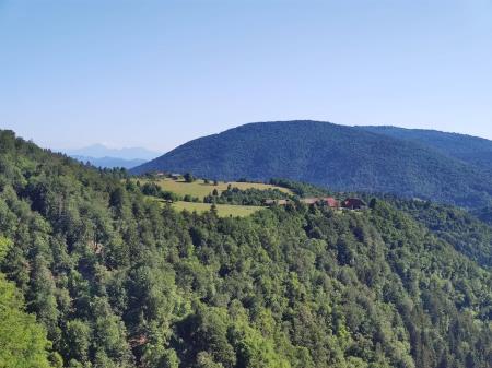 289309153_433676485003766_1130529189365933218_n