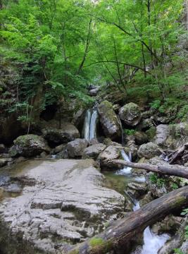 289320864_541424317688114_4304118002313111118_n